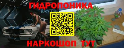 дурь Заволжье
