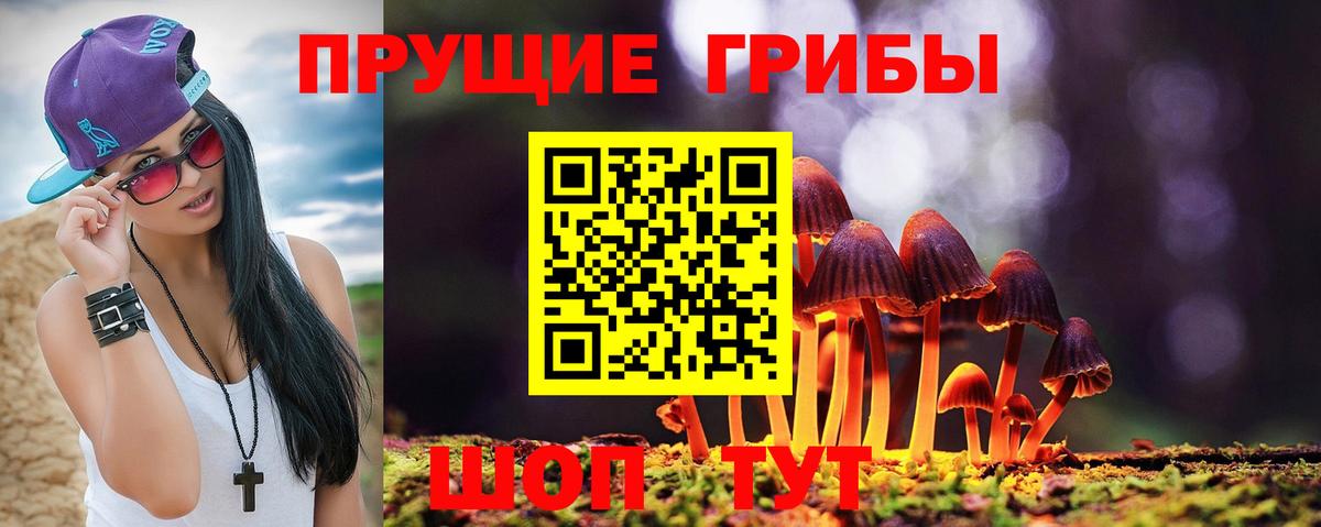 Галлюциногенные грибы Psilocybe  Псилоцибиновые грибы прущие грибы  Вход с VPN  Миллерово 